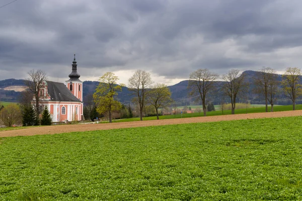 聖マグダラのマリア教会 ボザノフ チェコ 東ボヘミア チェコ共和国 — ストック写真