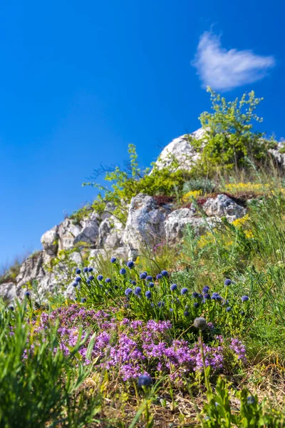 Palava Landscape Natural Monument Cat Rock Kocici Skala Southern Moravia — Zdjęcie stockowe