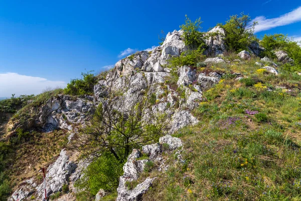 Palava Landscape Natural Monument Cat Rock Kocici Skala Southern Moravia — Stock Photo, Image