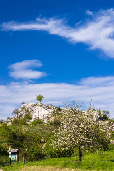 Palava Landschaft Naturdenkmal Katzenfelsen Kocici Skala Südmähren Tschechien — Stockfoto