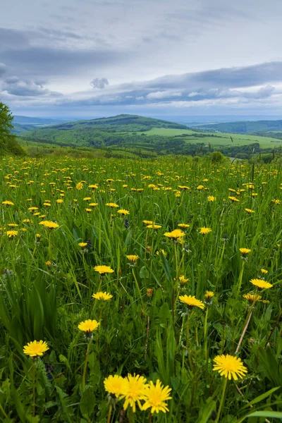 Spring Landscape White Carpathians Czech Republic — Stock Fotó
