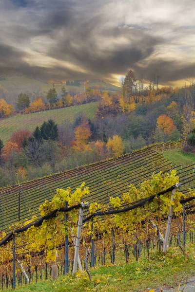 Highest Vineyards Austria Village Kitzeck Sausal Styria Austria — Stock Photo, Image