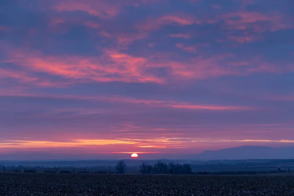 Восход Солнца Виноградниках Палавой Южная Моравия Чехия — стоковое фото