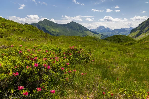 Typická Alpská Krajina Počátku Léta Damulsu Vorarlberg Rakousko — Stock fotografie