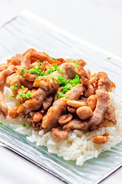 Chicken Kung Pao Rice — Stock Photo, Image