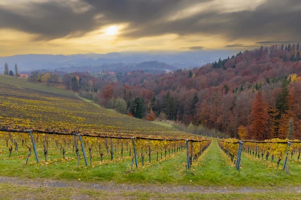 Highest Vineyards Austria Village Kitzeck Sausal Styria Austria — Stock Photo, Image