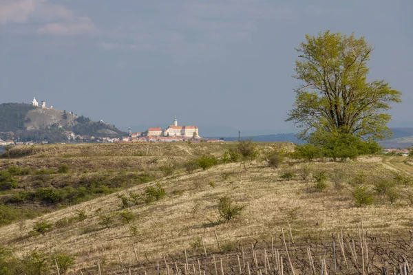 Wiosenny Krajobraz Mieście Palava Mikulov Morawy Południowe Czechy — Zdjęcie stockowe