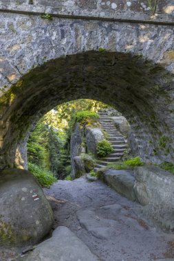 Doğa koruma alanı Broumovske steny, doğu Bohemya, Çek Cumhuriyeti