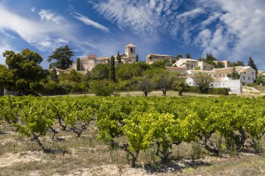 Typical vineyard near Vinsobres, Cotes du Rhone, France clipart