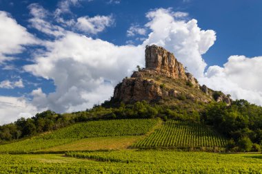 Üzüm bağı olan Solutre Kayası, Burgundy, Solutre-Pouilly, Fransa