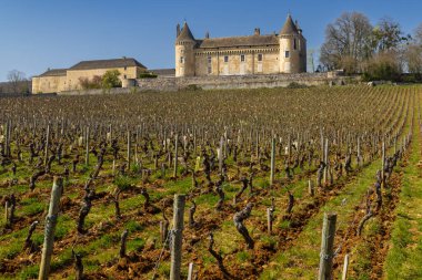 Chateau de Rully Şatosu, Saone-et-Loire kalkışı, Burgundy, Fransa