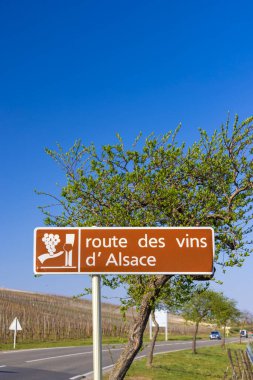 Colmar yakınlarındaki şarap yolu, Alsace, Fransa