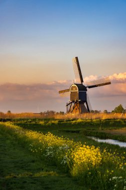 Windmill Broekmolen, Molenlanden - Nieuwpoort, The Netherlands