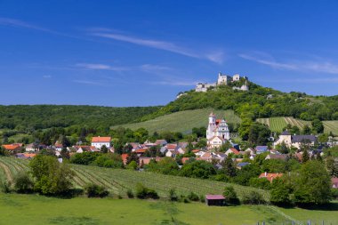 Falkenstein harabeleri ve üzüm bağı olan kasaba, Aşağı Avusturya, Avusturya