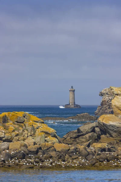 Wybrzeże Phare Four Pobliżu Argentyny Bretanii Francja — Zdjęcie stockowe