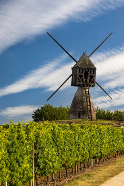 Molino Viento Tranchee Viñedo Cerca Montsoreau Pays Loire Francia — Foto de Stock