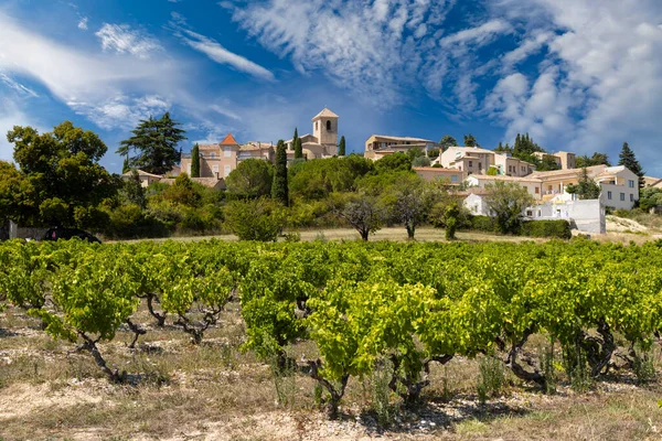 Typical Vineyard Vinsobres Cotes Rhone France — Stock Photo, Image