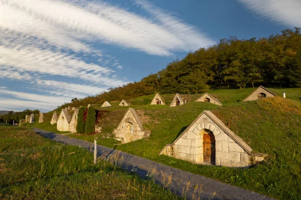 Pinceles Otoñales Gombos Hegyi Hercegkut Sitio Unesco Gran Llanura Norte — Foto de Stock