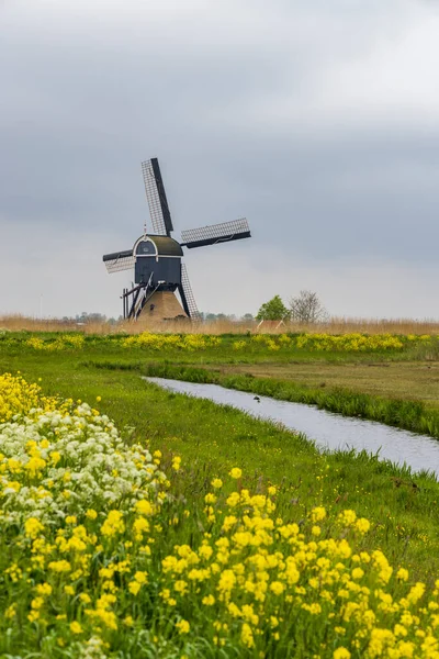 Windmill Broekmolen Molenlanden Nieuwpoort Netherlands — Stock Photo, Image
