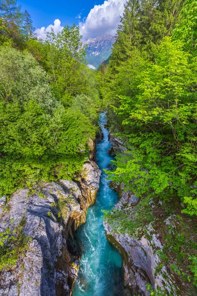 Gorge Grande Soca Velika Korita Soce Parc National Triglavski Slovénie — Photo