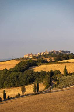 Cipressi di Monticchielo, İtalya, Montepulciano yakınlarındaki Tipik Toskana manzarası