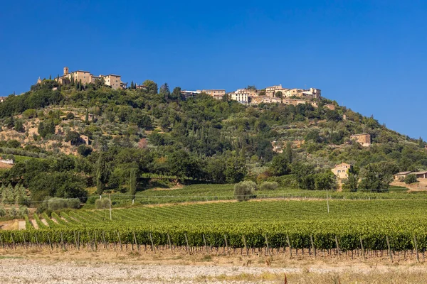 İtalya 'nın Montalcino kasabası yakınlarındaki Toskana' nın en ünlü üzüm bağları.