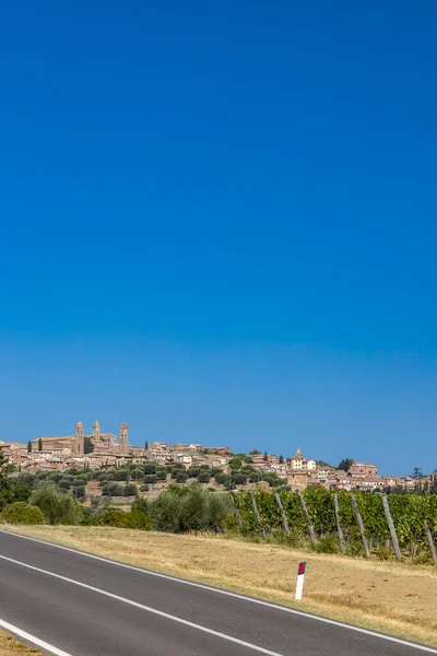 Die Berühmtesten Weinberge Der Toskana Der Nähe Der Stadt Montalcino — Stockfoto