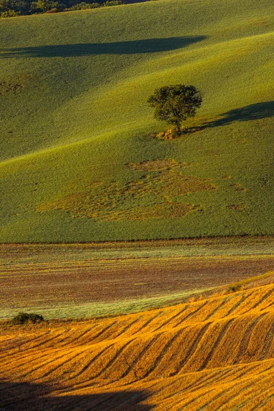 Typische Toskanische Morgenherbstlandschaft Val Orcia Toskana Italien — Stockfoto