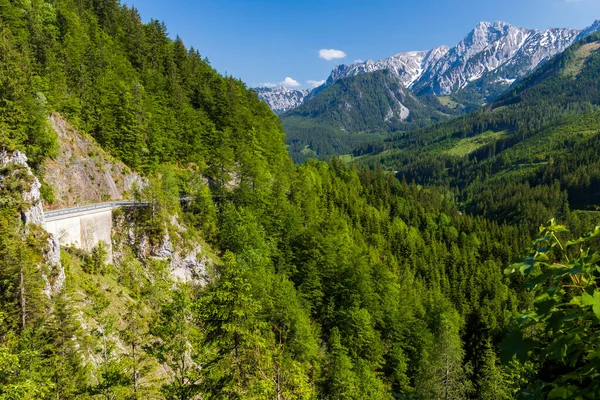 Nationalpark Kalkalpen Österrike — Stockfoto