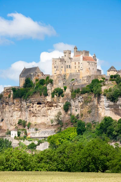 Chateau Beynac Beynac Cazenac Frankrike — Stockfoto
