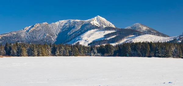 Vinterlandskab Narheden Oravice Vestlige Tatra Rohace Slovakiet - Stock-foto