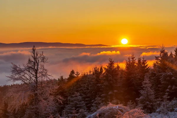 Sunrise in winter landscape near Velka Destna, Orlicke mountains, Eastern Bohemia, Czech Republic