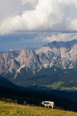 Dolomites, İtalya 'da Passo Giau yakınlarındaki manzara