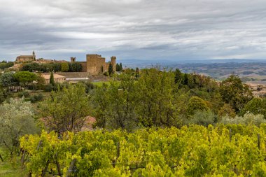 İtalya 'nın Montalcino kasabası yakınlarındaki Toskana' nın en ünlü üzüm bağları.