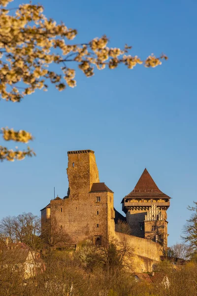 Замок Липнице Над Сазавоу Высоцинский Район Чешская Республика — стоковое фото