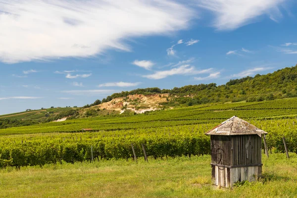 Paisagem Tokaj Com Vinha Sítio Unesco Hungria — Fotografia de Stock