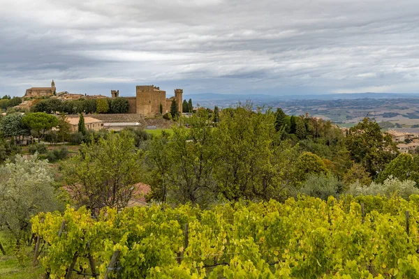 Πιο Διάσημοι Αμπελώνες Της Τοσκάνης Κοντά Στην Πόλη Montalcino Στην — Φωτογραφία Αρχείου
