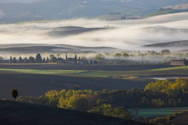 Tipik Toskana sonbahar sabahı manzarası, Val D 'Orcia, Toskana, İtalya