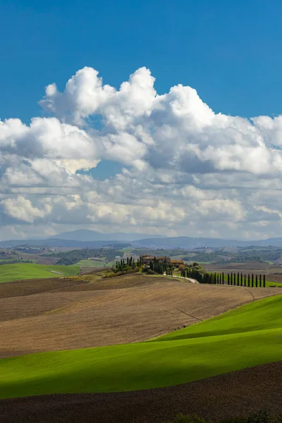 Typiskt Toskanskt Landskap Nära Siena Toscana Italien — Stockfoto