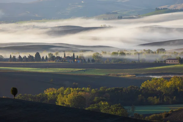 Typisk Toskansk Morgon Höstlandskap Val Orcia Toscana Italien — Stockfoto