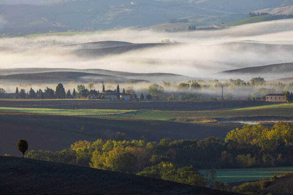 Typical Tuscan morning autumn landscape, Val D'Orcia, Tuscany, Italy