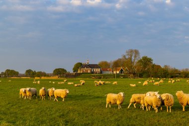 Eski Schokland Adası, UNESCO Dünya Mirası Alanı, Hollanda