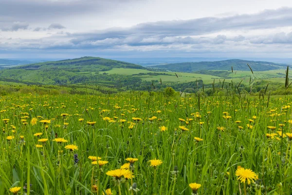 チェコ共和国ホワイト カルパティアの春の風景 — ストック写真