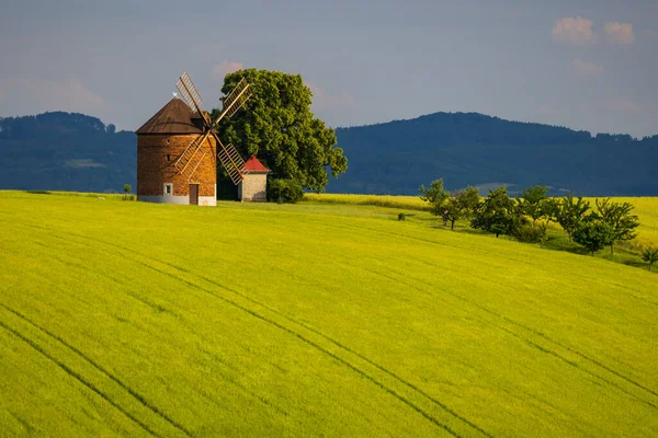 Ветряная Мельница Chvalkovice Южная Моравия Чехия — стоковое фото