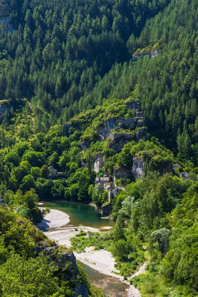 Gorges Tarn Region Occitania Departament Aveyron Francja — Zdjęcie stockowe