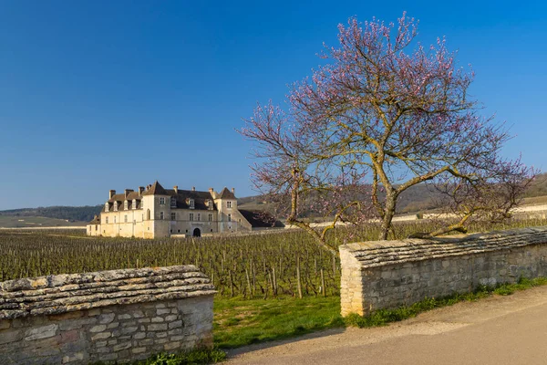 Schloss Clos Vougeot Cote Nuits Burgund Frankreich — Stockfoto