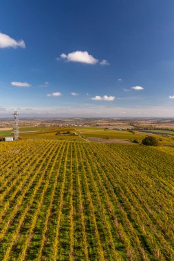 Palava altındaki üzüm bağları, Güney Moravya, Çek Cumhuriyeti