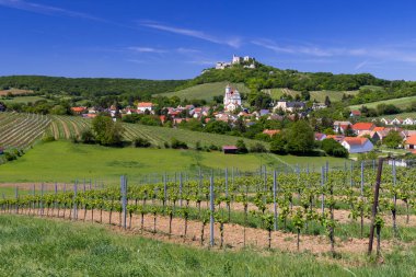 Falkenstein harabeleri ve üzüm bağı olan kasaba, Aşağı Avusturya, Avusturya