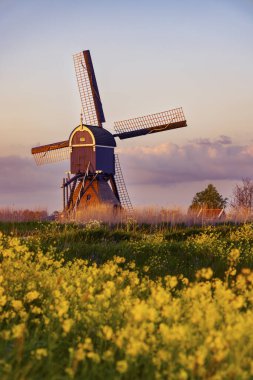 Windmill Broekmolen, Molenlanden - Nieuwpoort, Hollanda