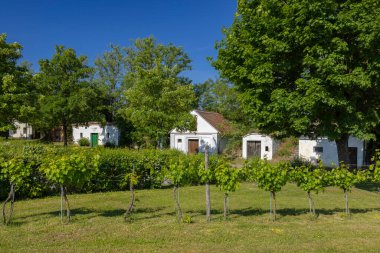 Ungerndorf, Aşağı Avusturya 'da geleneksel şarap mahzenleri sokağı (kellergasse)